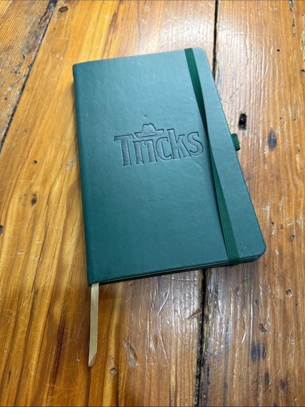 Castelli Made in Italy Green Leatherette Journal with Tricks on it